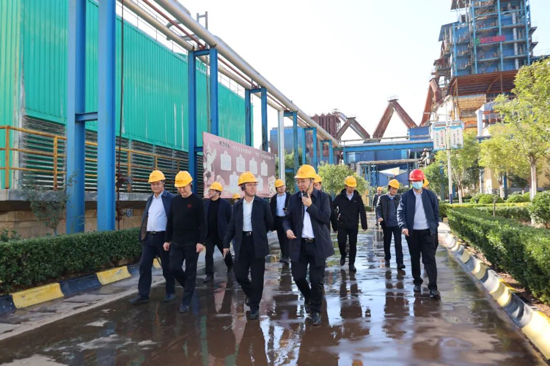 1699421334257497.jpg 640 (5).jpg