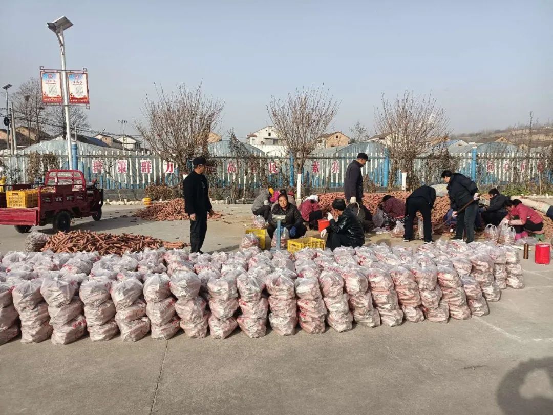 1702886575816856.jpg 64022.jpg