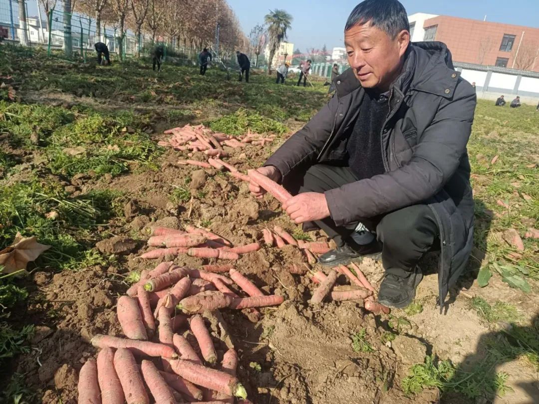 1702886585435803.jpg 640222.jpg