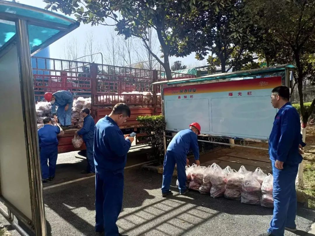 1702886595944238.jpg 64022222.jpg